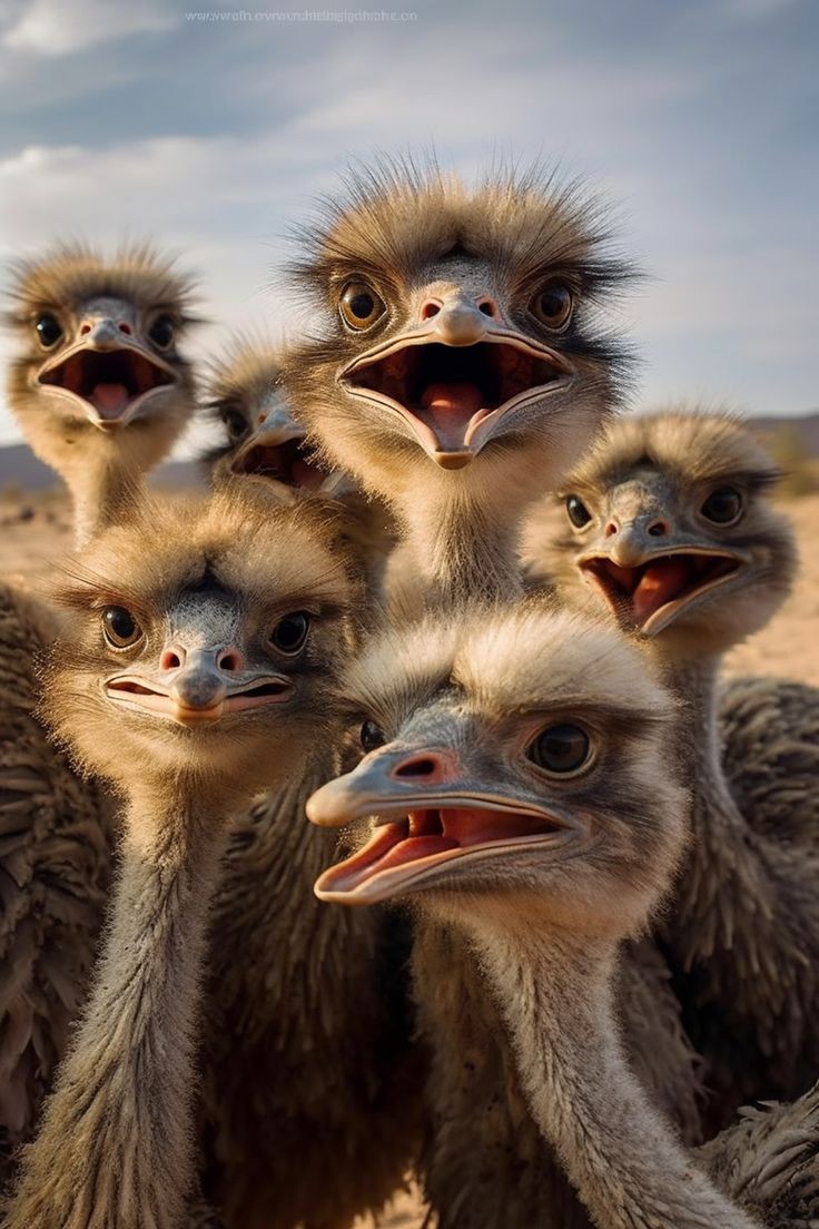 Sager_MSL's tweet image. It's Friday! 😃