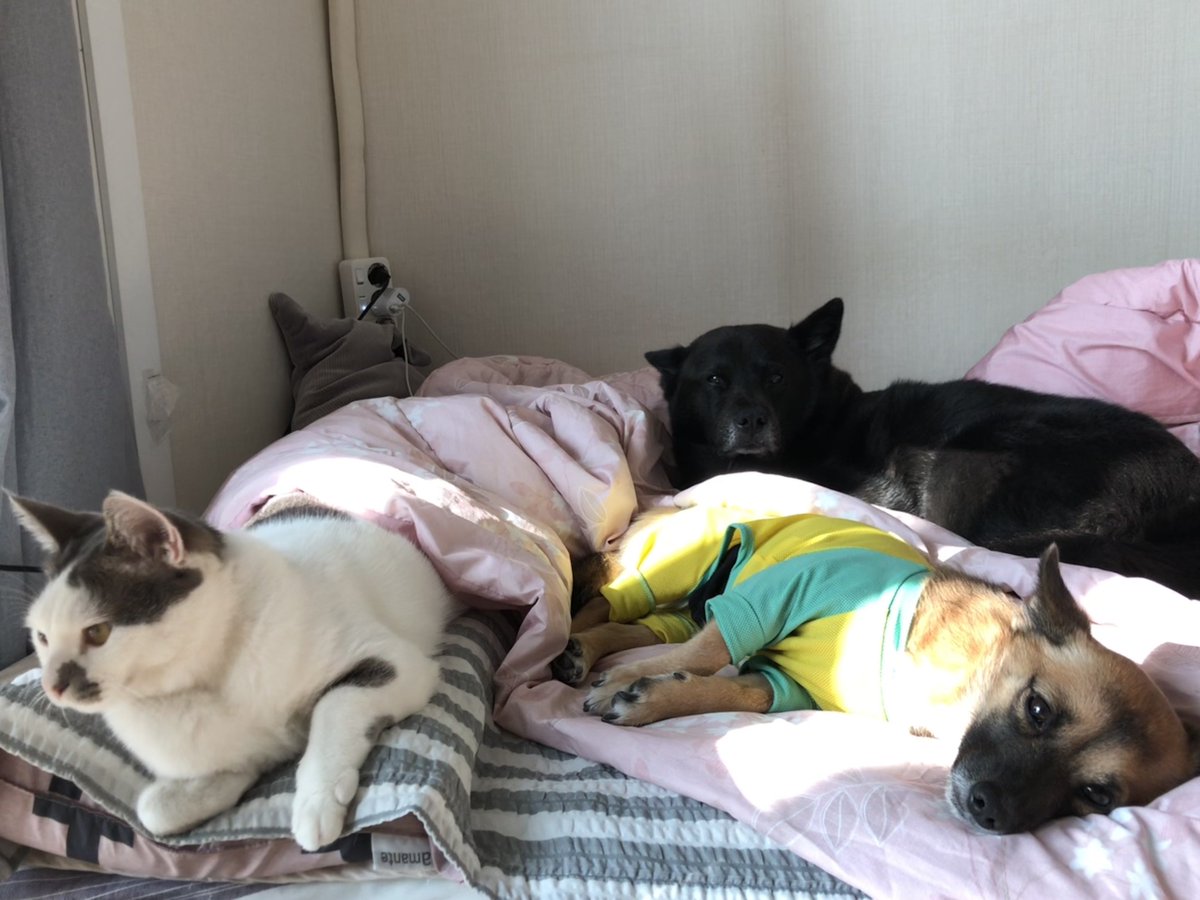 doremi_dog's tweet photo. 왜용 👀? https://t.co/BNswjMbfg1