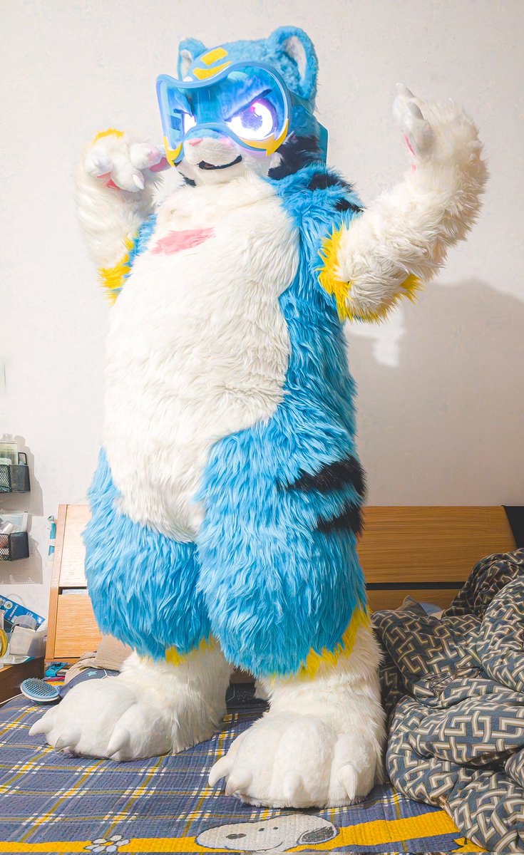 linhutang's tweet photo. #FursuitFriday 
大老虎来抓你们啦！被抓到要被压扁压扁！ https://t.co/8jGRK7UaCz