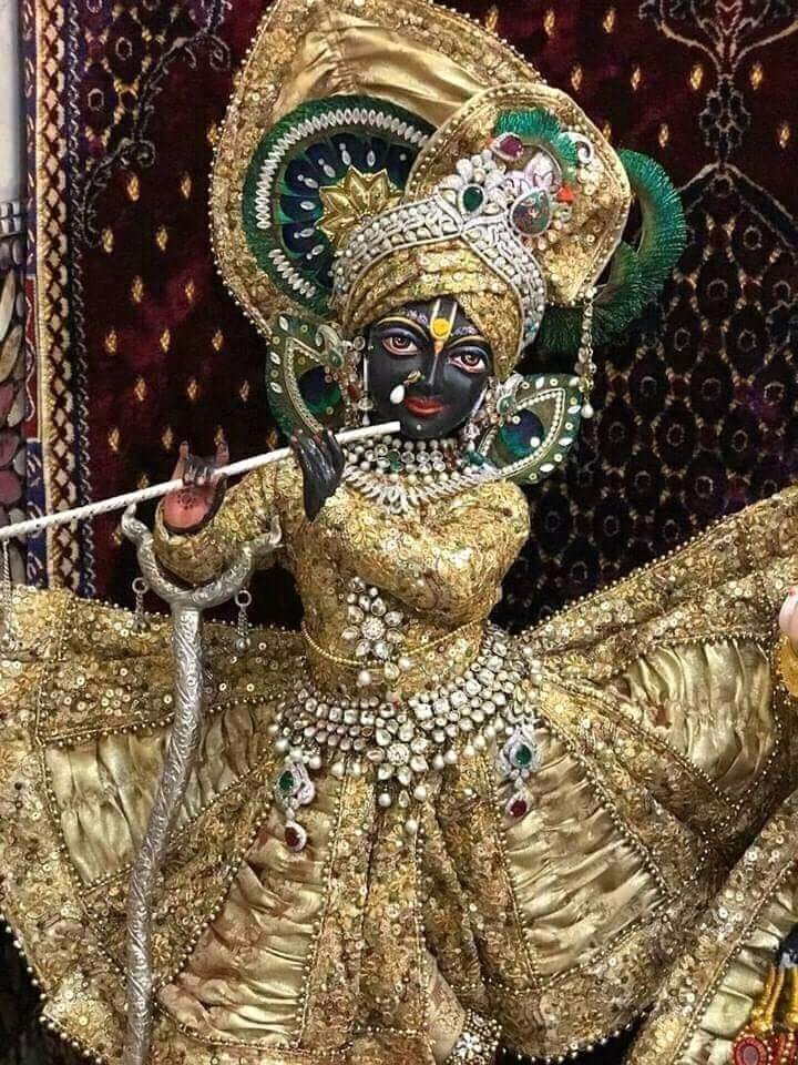 💚जय श्री हरि 💚
     🌿❣️राधे राधे❣️ 🌿
    🌿🌿शुभ प्रभात 🌿🌿