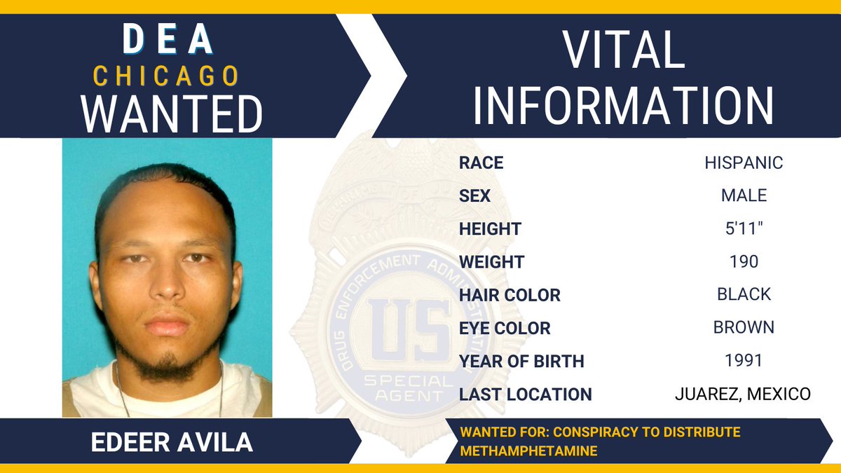 DEACHICAGODiv's tweet photo. #FugitiveFriday Edeer Avila is wanted for conspiracy to distribute methamphetamine. Learn more about Avila and submit a tip to @USMarshalsHQ https://t.co/EKgWkzvPIT https://t.co/IbTyVmpCtZ