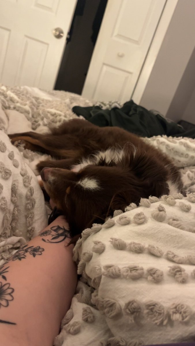 kels225's tweet photo. I’m actually completely obsessed with my dog🥹 https://t.co/z6JQsHEeAS
