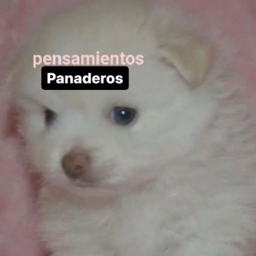 kagstones's tweet photo. yo a la minima que me siento mal me pongo a hacer cosas dulces https://t.co/NwZm3TSpCD