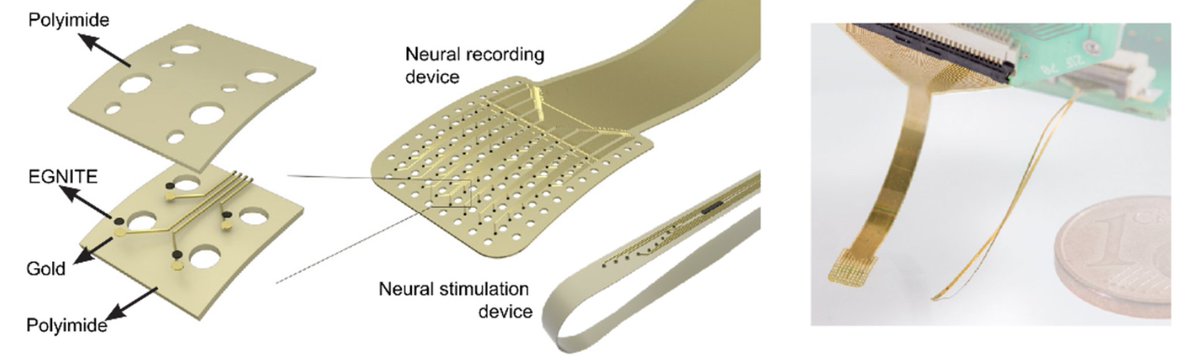 _BIST's tweet photo. Technology developed by researchers from @icn2nano is poised to revolutionize the treatment of neurological disorders! The research is being developed through the #spinoff company #INBRAIN 🧠
📝Published in @NatureNano 
#BISTCommunity
https://t.co/0i022tnKVg https://t.co/AAEI745TKF