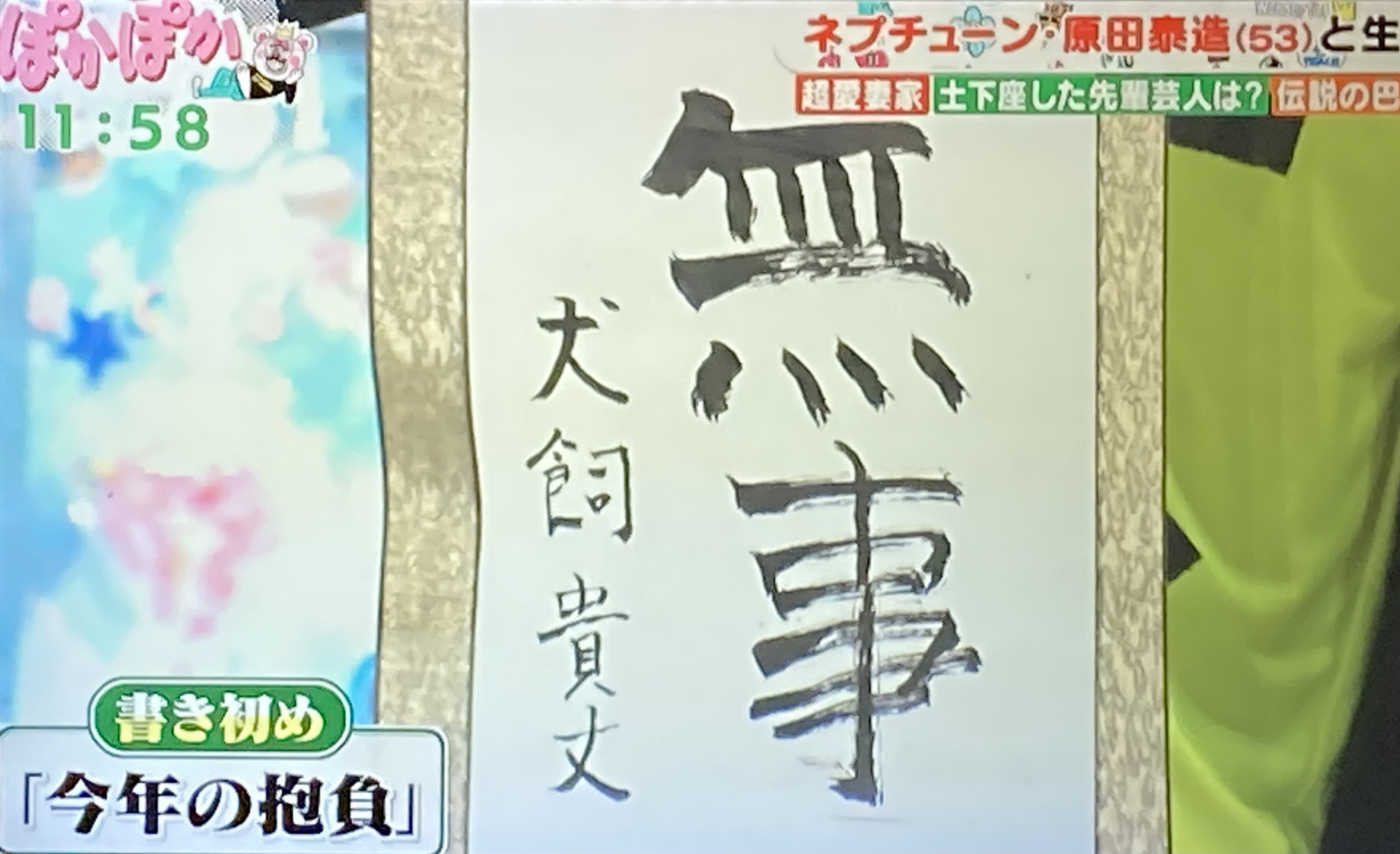 銀ひな〜斑柄兄妹〜 | 8/6わんわんビーチin兵庫県-1- AM5時出発