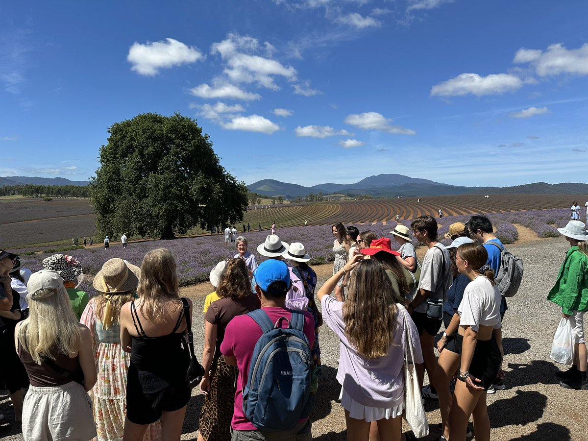 Today’s scene is a kaleidoscope of colours. Join us on one of the public tours running daily at 11:00am and 2:00pm during our Festival of flowers.

#discovertasmania #tasmania #tasmanian #bridestoweestate #bridestowelavender #lavenderfarm <a href="/abcnews/">ABC News</a> <a href="/abchobart/">ABC Hobart</a> <a href="/abclandline/">ABC Landline</a>