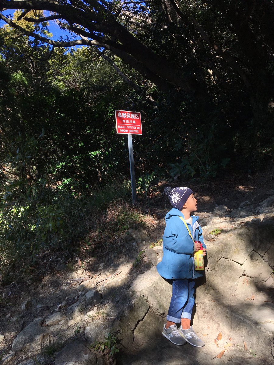 夏休みに上の子の癇癪が酷かったので、冬休み前が憂鬱だったが、意外にも随分と落ち着いていた。成長したんだなあと感じた。秋にたくさん抱きしめたのが功を奏したのか。弟が生まれてから、きっとたくさん我慢してたんだと思う。もう、大丈夫だね。来年は大好きな友だちと小学校に行くんだって。