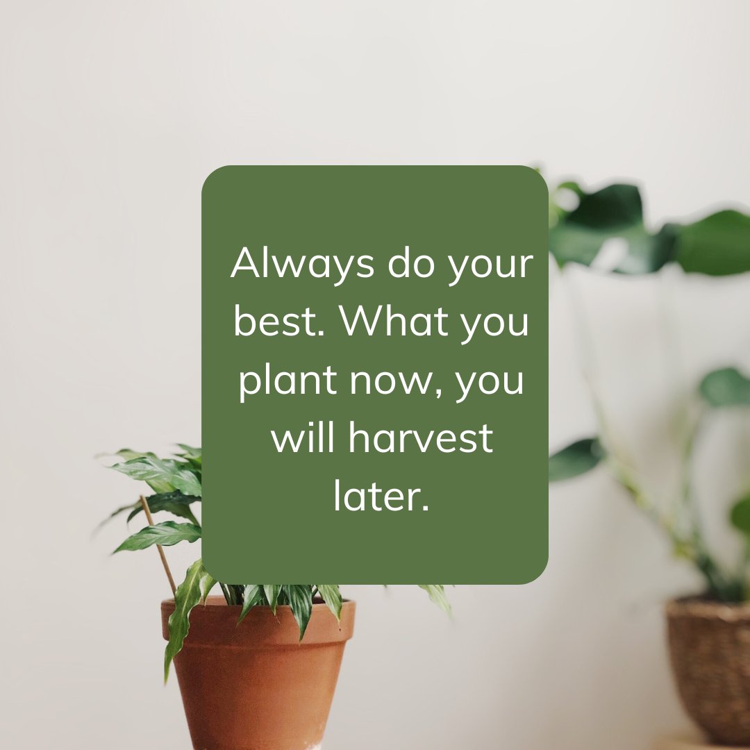 RtoTraining's tweet photo. Thought of the day https://t.co/HbJau4XI7O