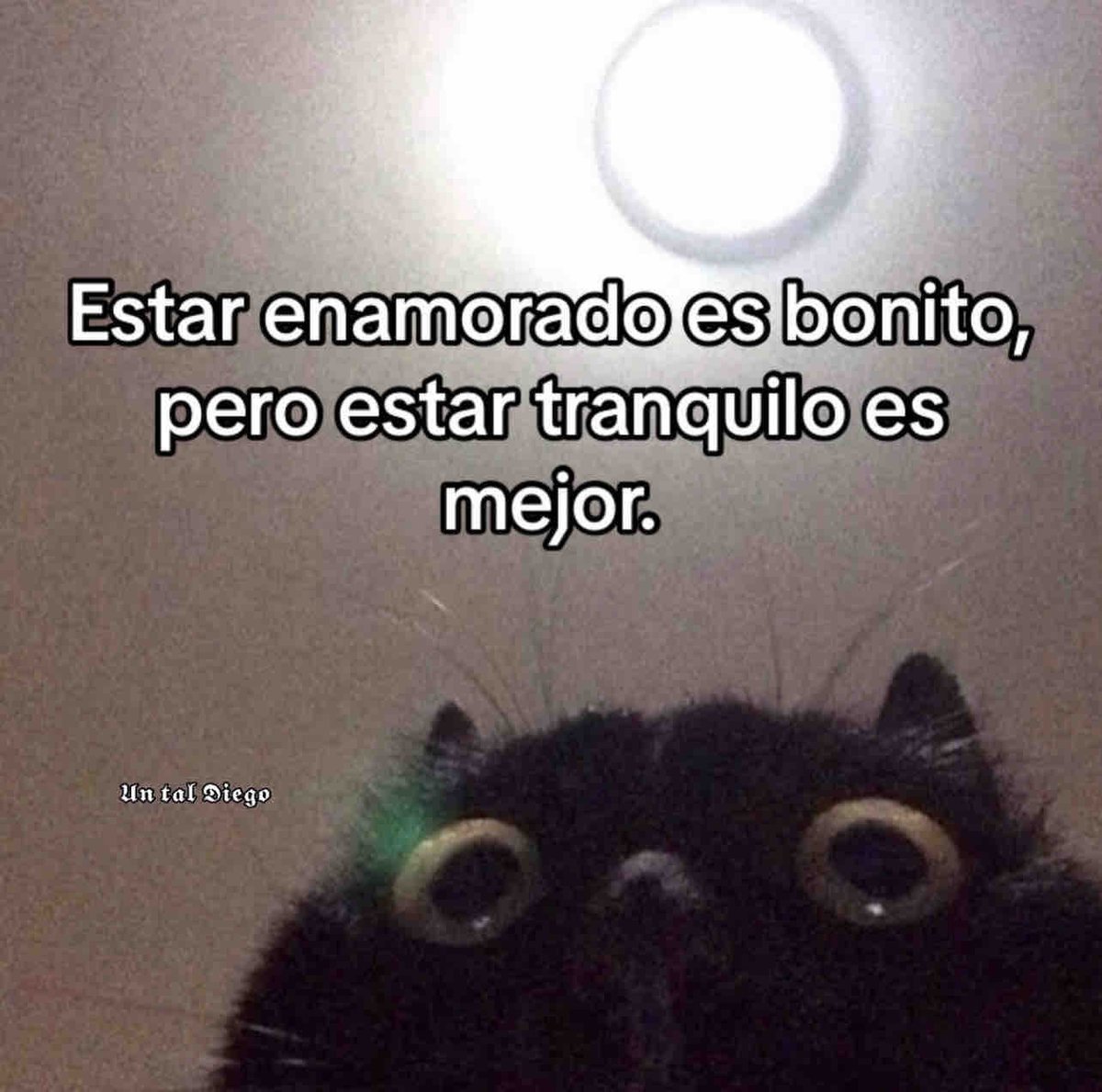 Guarromantico_'s tweet photo. https://t.co/JNabqHxugD