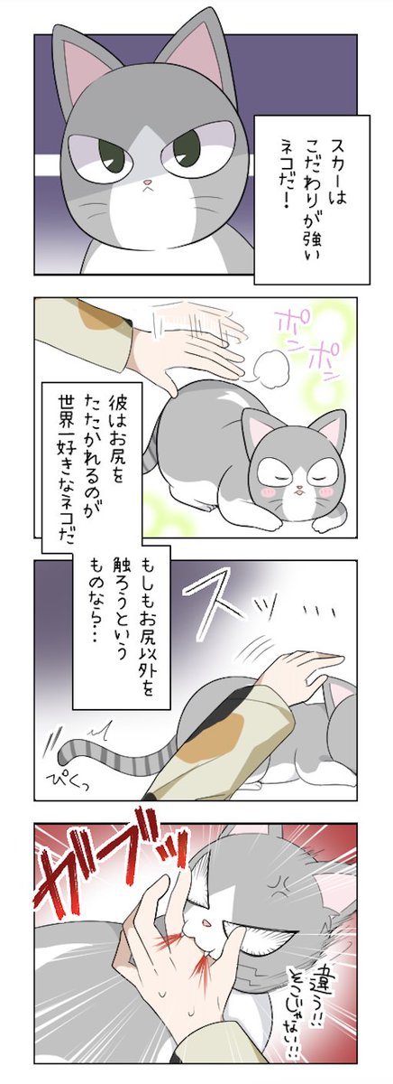 ฅねこねこฅページ fit=scale-down,w=1200