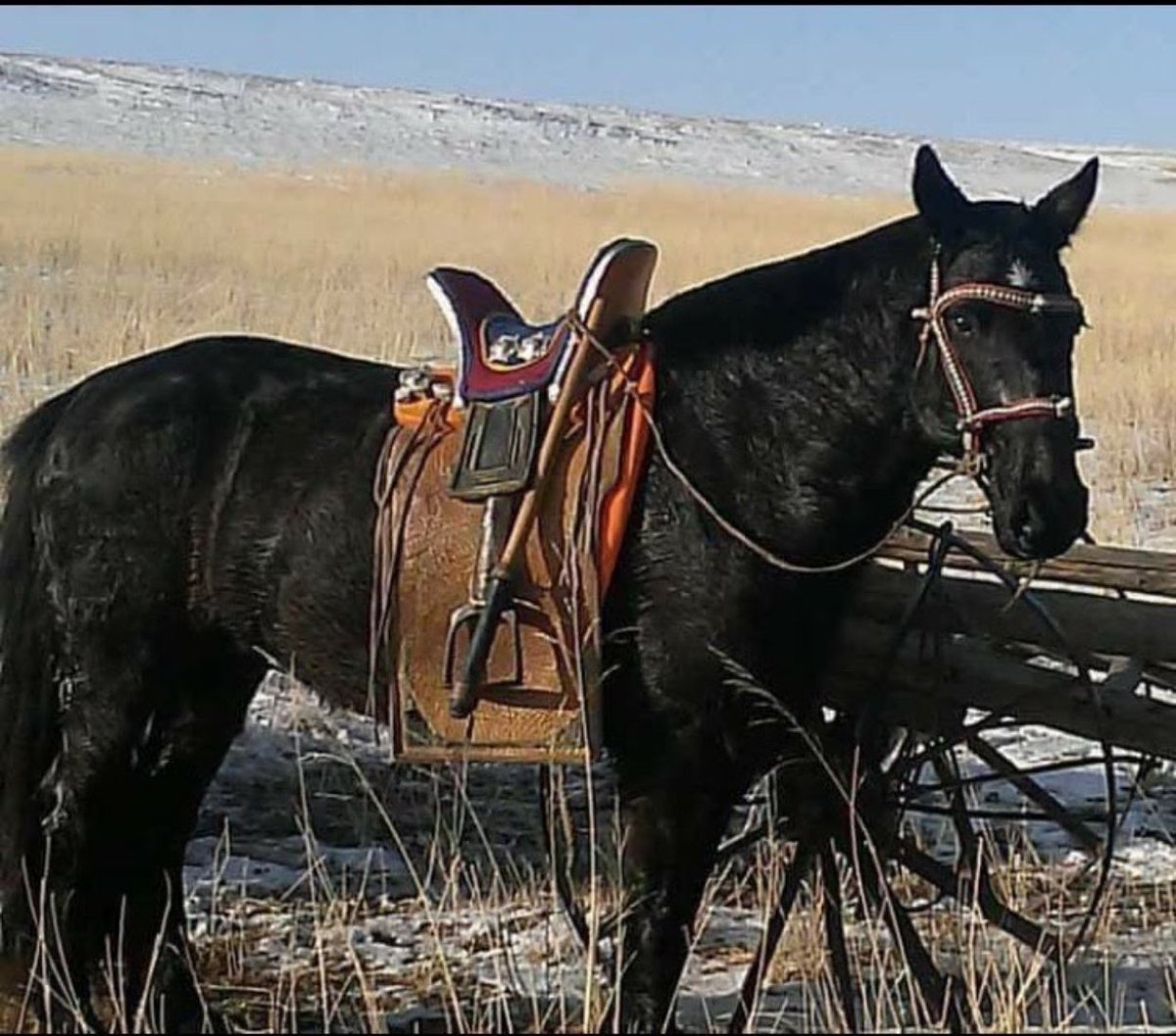 Дэгжин юм бэ 🔥🔥🔥❤️🍀☘️