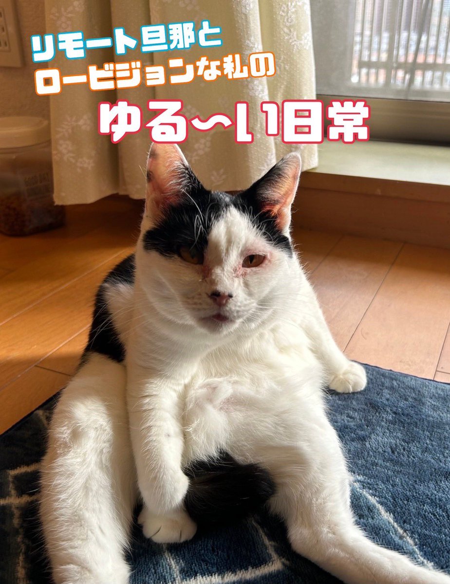 sawanuts's tweet image. 見えにくくなった私の日常を描いた電子書籍のエッセイ「リモート旦那とロービジョンな私のゆる〜い日常」。
Amazonのウェブサイトで100円です。
見えにくい世界を、ご家族の方や友人と一緒に気軽に読んでいただき、少しでも多くの方々に理解を深めていただけたら幸いです。
#網膜色素変性症