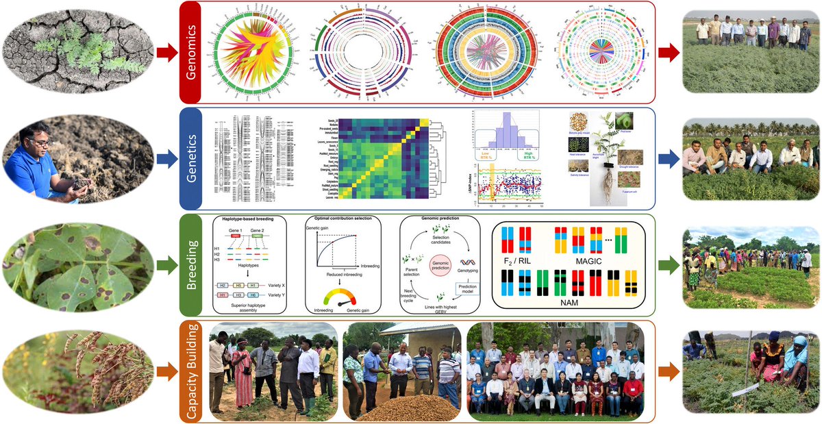 Thrilled to share our new article in <a href="/PlantBiotechJ/">Plant Biotechnology Journal</a> celebrating Prof. Rajeev Varshney's <a href="/rajvarshney/">Rajeev Varshney FRS</a> remarkable scientific journey, on his induction as a Fellow of the Royal Society #FRS! 🎉

An incredible odyssey of #agricultural innovation &amp; impact 🌱

🔗onlinelibrary.wiley.com/doi/full/10.11…