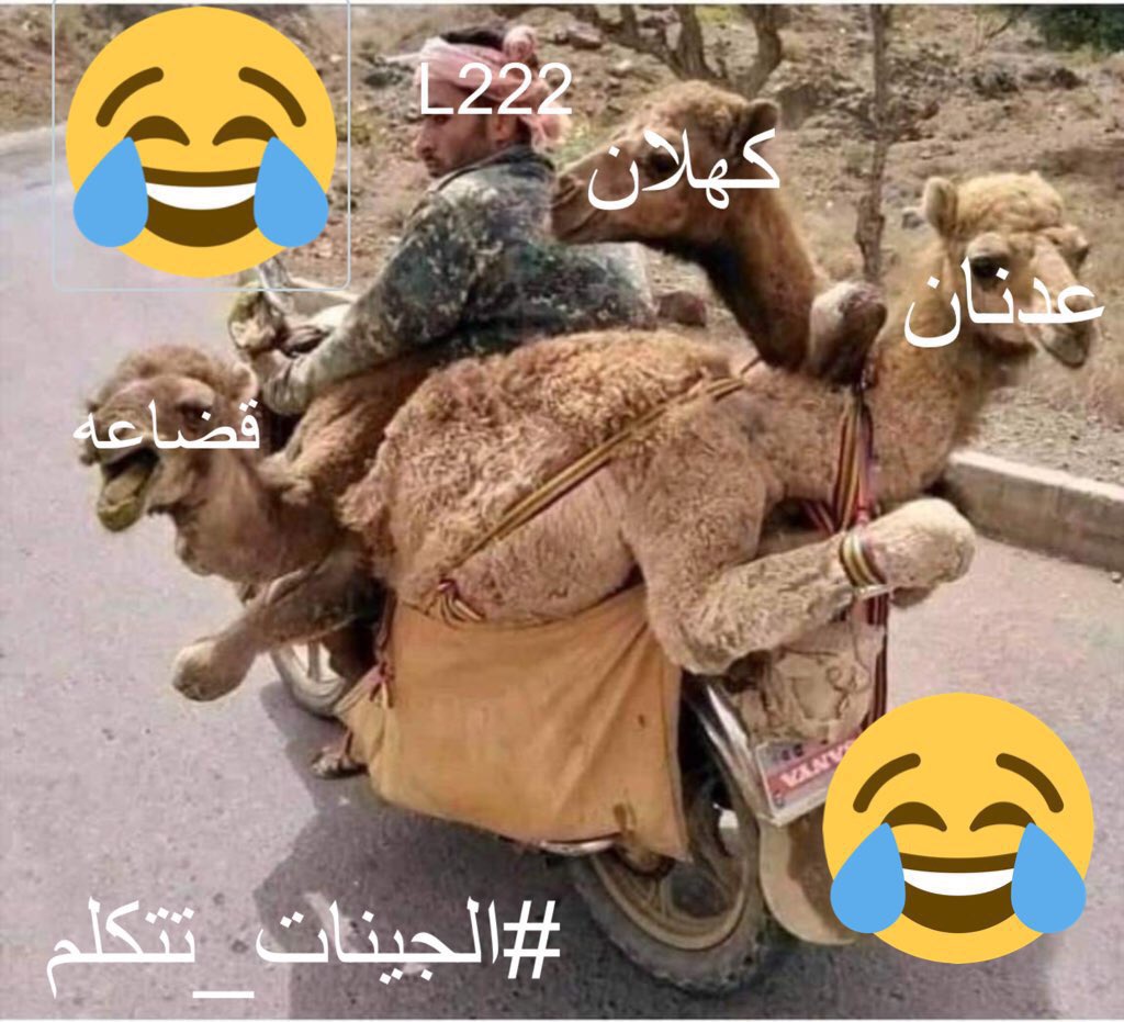 al7ur97's tweet photo. @GazxAl #انامزيني_جينياً #الجينات_تتكلم 

لسان حالهم وهم يشوفون الخلاطات 
لم تزبط معنا 
فاقد الشيء لا يعطيه 
والله ماعندهم الا صياح بالمساحات وقذف المسلمين  والطعن في انسابهم والتشكيك في مواريثهم ولا لهم مكان ولا مكانة بمجالس الرجال وغير مرحب فيهم هم وخراطهم #الجينات_تتكلم https://t.co/8VYuDtuTkQ