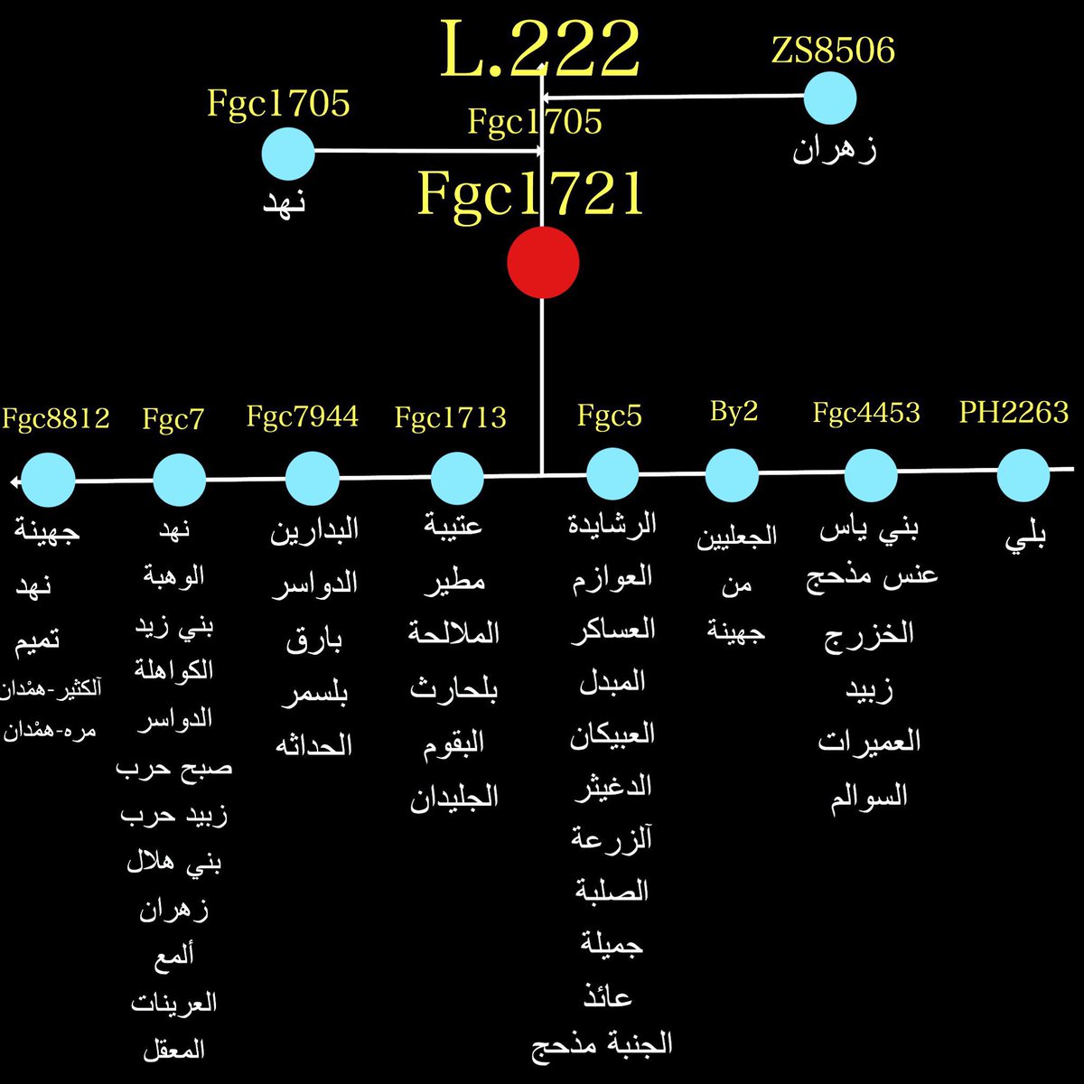 al7ur97's tweet photo. @GazxAl #انامزيني_جينياً #الجينات_تتكلم 

لسان حالهم وهم يشوفون الخلاطات 
لم تزبط معنا 
فاقد الشيء لا يعطيه 
والله ماعندهم الا صياح بالمساحات وقذف المسلمين  والطعن في انسابهم والتشكيك في مواريثهم ولا لهم مكان ولا مكانة بمجالس الرجال وغير مرحب فيهم هم وخراطهم #الجينات_تتكلم https://t.co/8VYuDtuTkQ