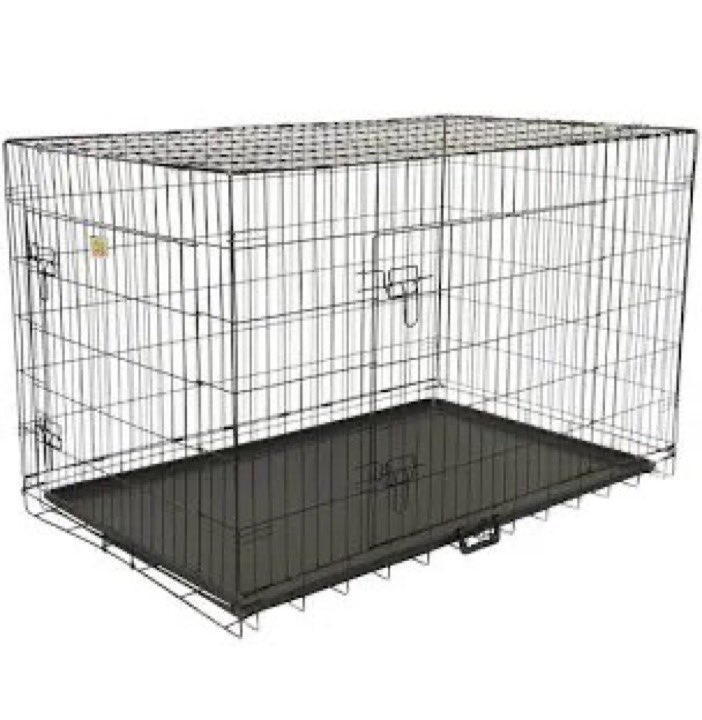 You could leave her in here

But she is going to bitch as you until you let her out

Or until you come in a breed her