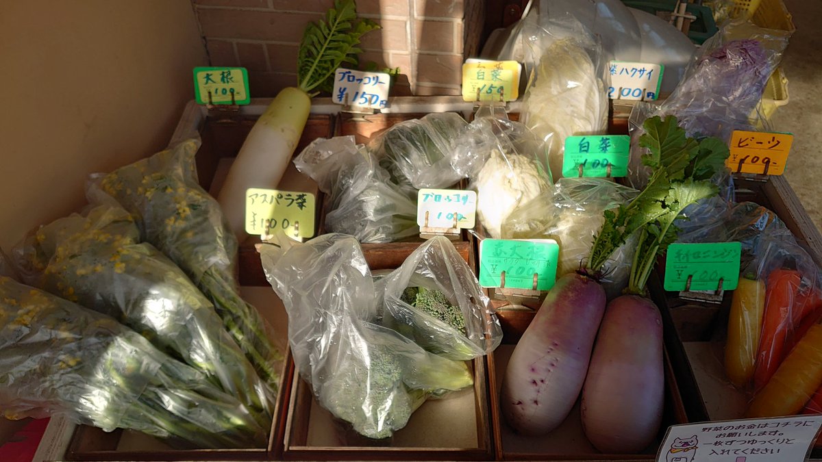 minor_farmer's tweet photo. 本日のお勧め野菜達です。
今年もよろしくお願いします。 https://t.co/YrjFXWxAr3