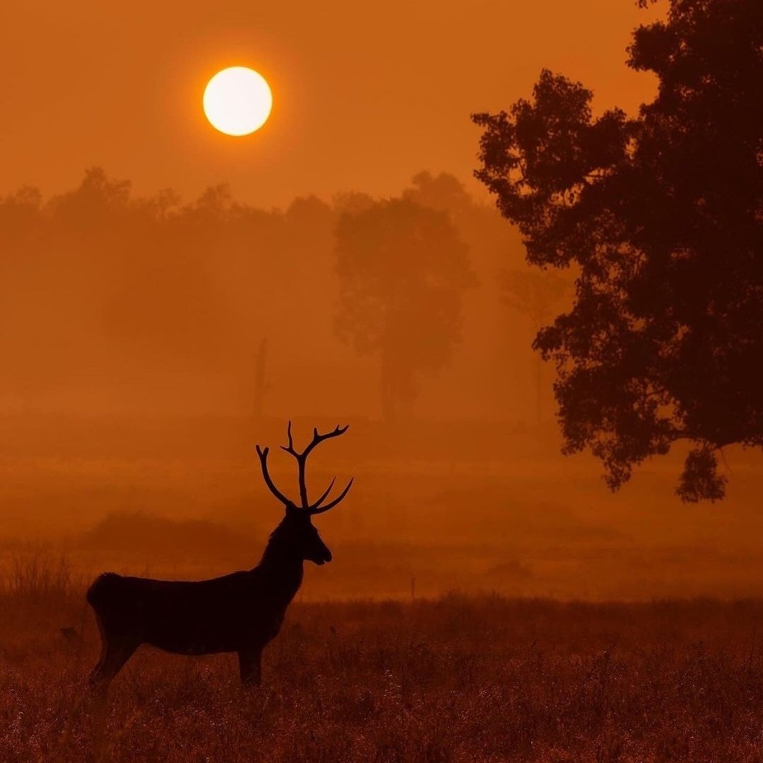 Sukumar Barman tweet media