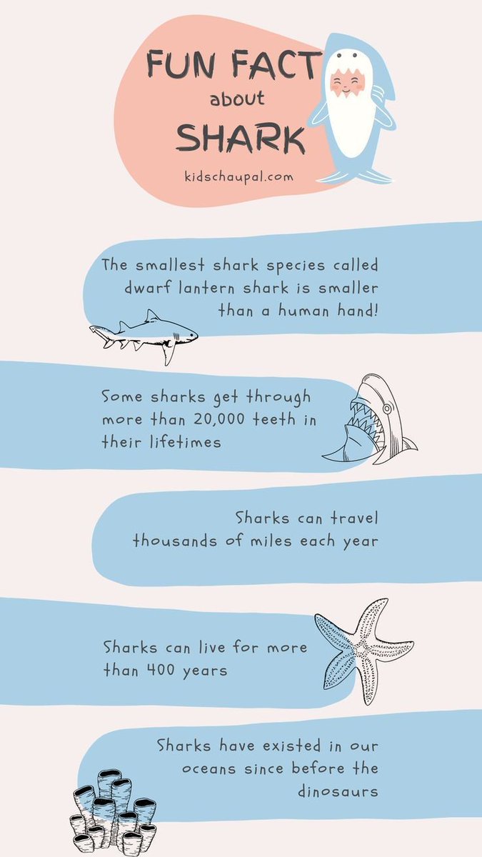 #sharks #Sharkfacts