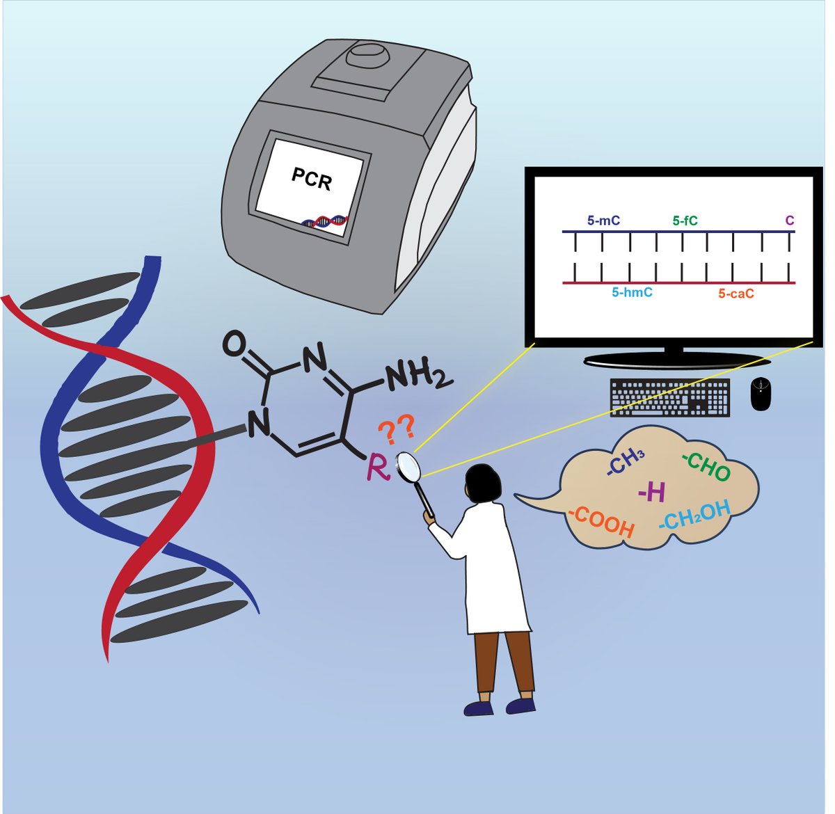 debasishmanna38's tweet photo. Uncovering epigenetic modifications in cytosine bases 🧬.Kudos to Madhumitha and Parvathy for their outstanding efforts in decoding the chemistry behind the epigenetic sequencing 🧬of modified cytosine!👩‍🔬👏 
https://t.co/Zf0P1esWIQ

 @chm_iiserb @iiserbhopal https://t.co/mEg6yMKLlY