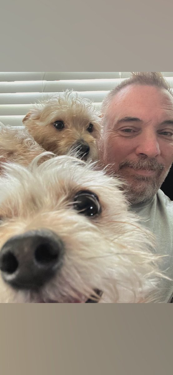 Who else has a cute puppy pic to
Share?  These are my #chorkies Jack and Nick!  They are high energy!!!  How about yours?