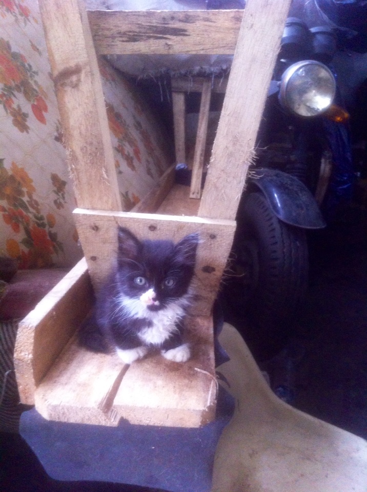 Elastico 7® INDONESIA (@elastico_7) on Twitter photo 