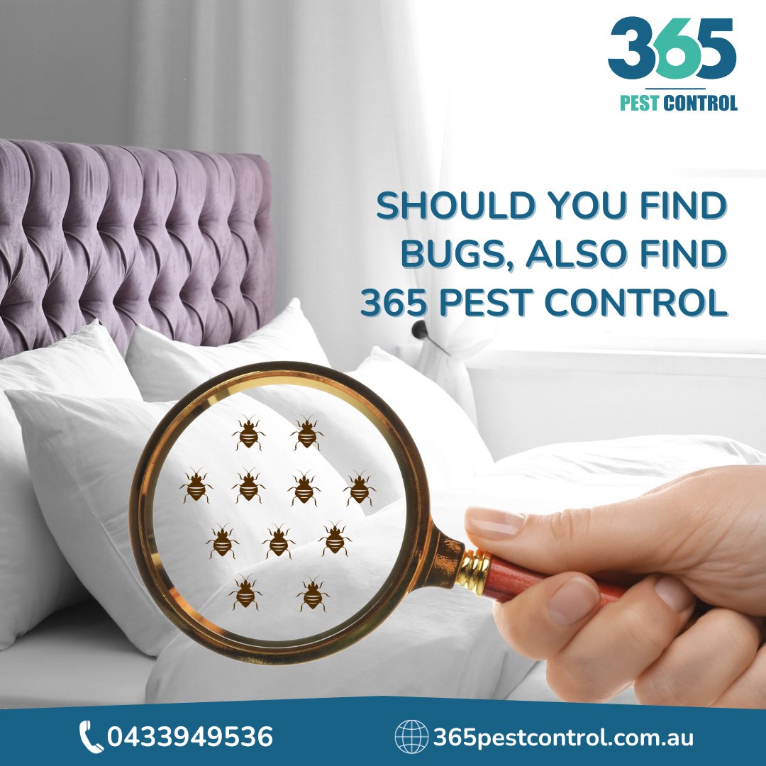 Book your Bed Bug Pest control services in on 365 pest control.

Call us today @ 0433949536

Visit us: 365pestcontrol.com.au/pest-solutions…

#pestcontrol #pestcontrolservice #pest #pointcookpestcontrol #pets #antpestcontrol #antcontrol #bugs #ant #termite #covid #rayap #exterminator #rats