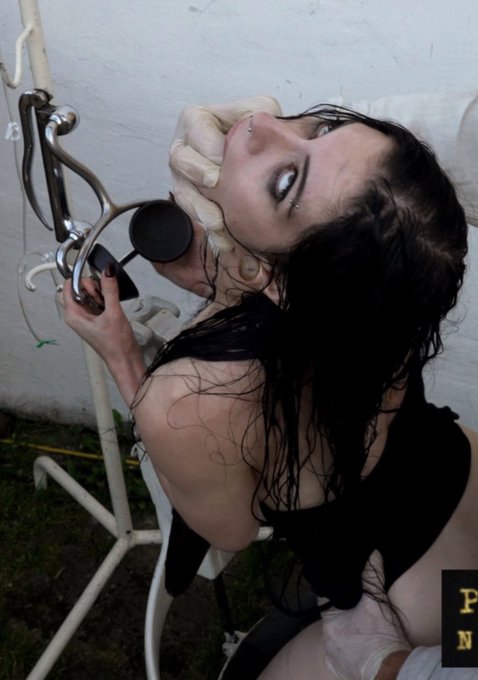 You guys what pic should be on my AVN badge? https://t.co/gAIvcp9nqa