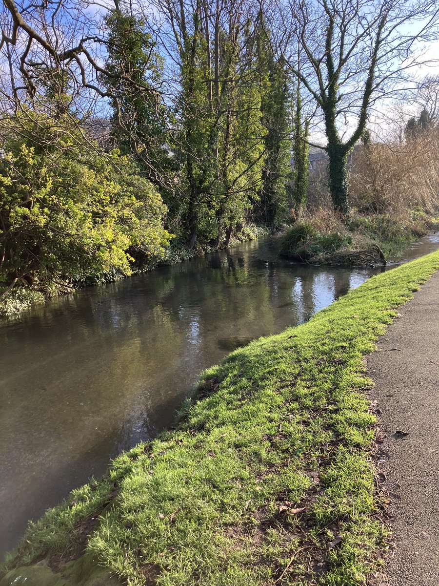 Our Finest Dour tweet media