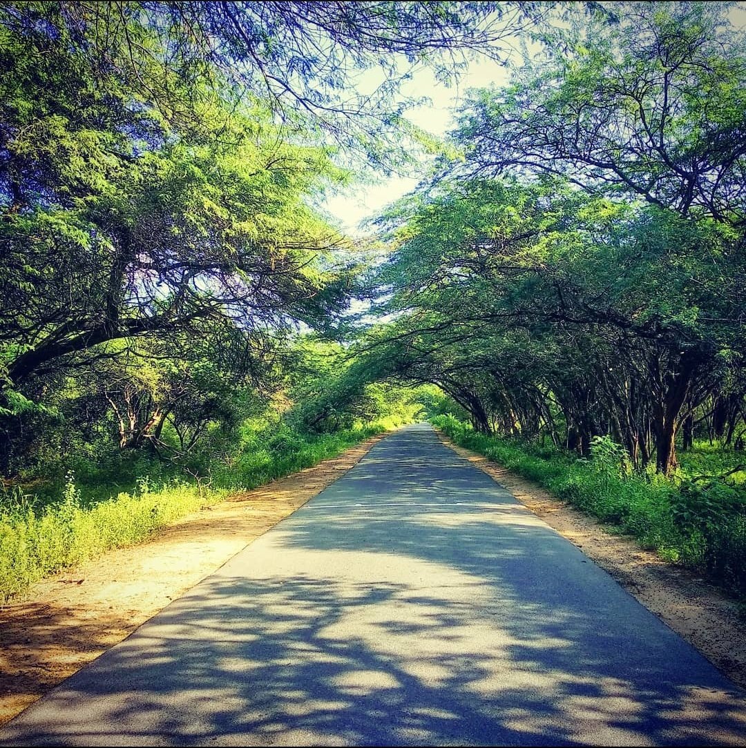 AlIlluminatti's tweet photo. #roads #takemetosomewhere #chinnar https://t.co/CLMqUPHwTc