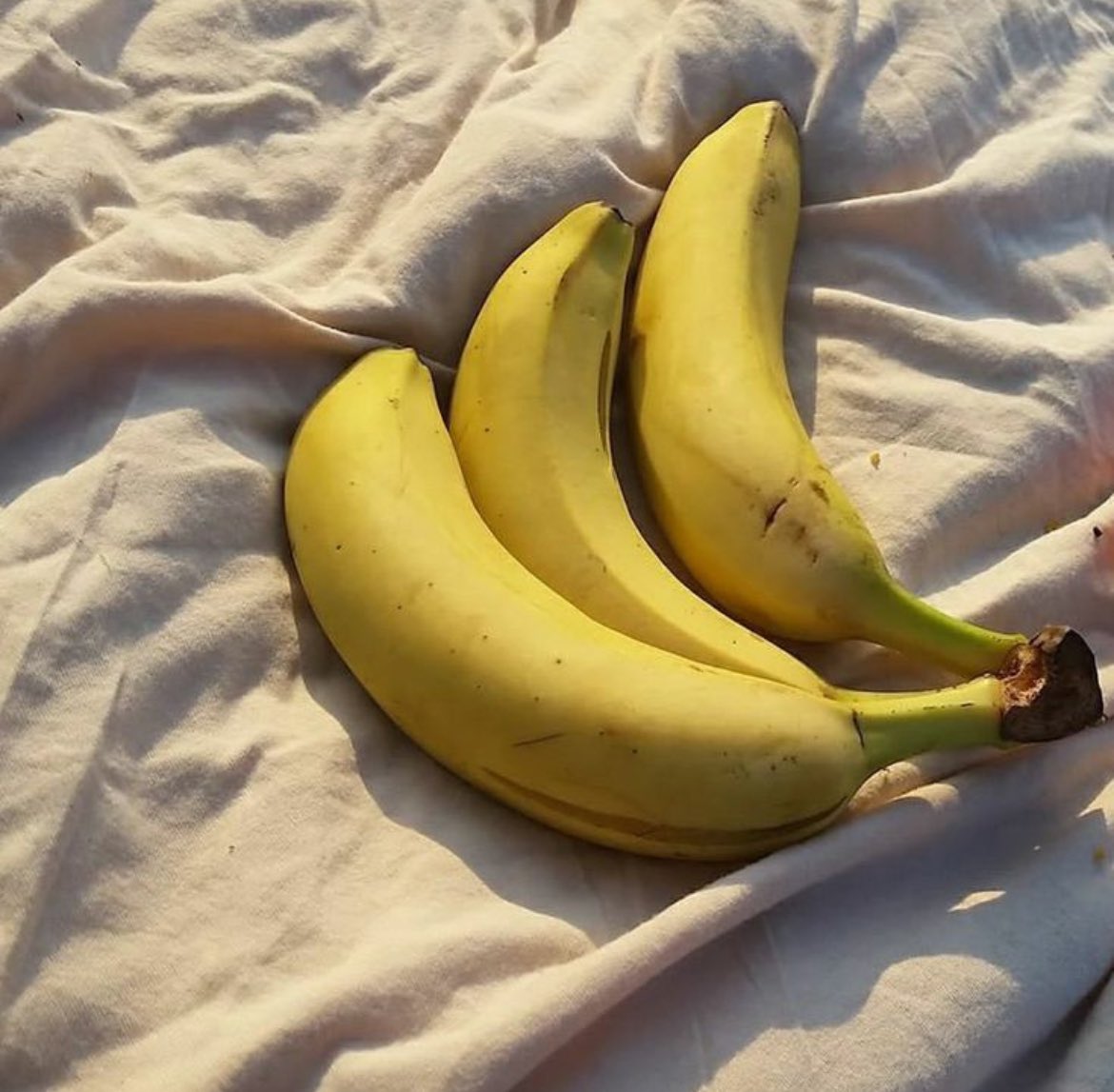 koiliia's tweet photo. ✦.˳·˖ Why you SHOULD be eating bananas 🍌🧵˚. ✶ ⋆.✧̣̇˚.
An informative thread 

⟶ ♡ / ↻ appreciated 🙏🫶 https://t.co/rm3wF55gyT