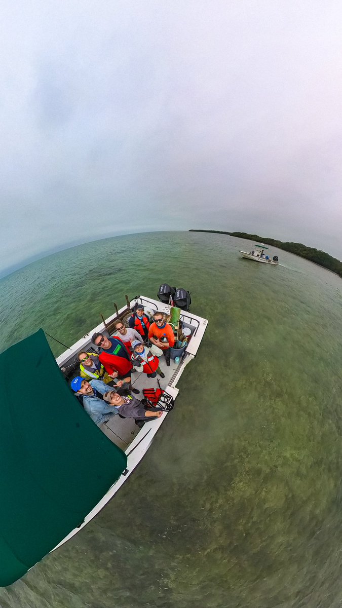 Cleanthisb_up's tweet photo. Starting the year strong with @LOUISAGUIRRE @AndrewOtazo @BiscayneNPS ! 1500 lbs removed today from Biscayne National Park! #SaveBiscayneBay #OceanCleanup #Miami https://t.co/pJszdu9o5x