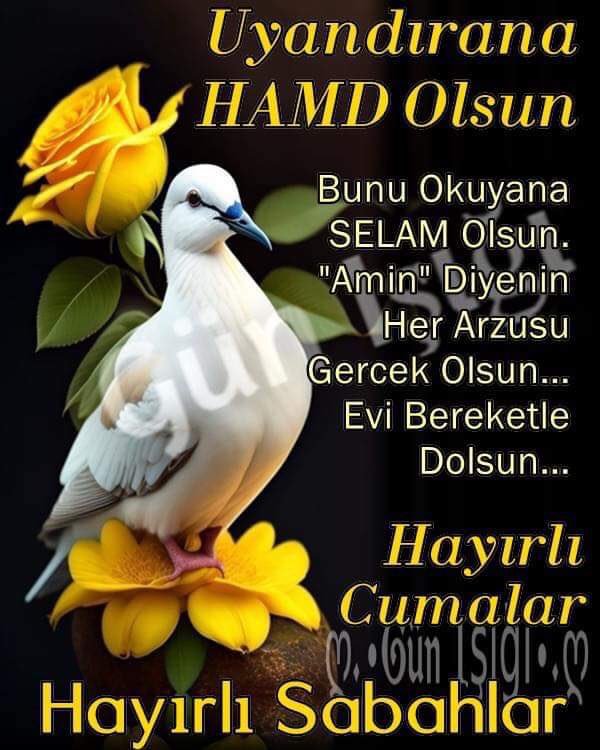 Alaaddi45500329's tweet photo. https://t.co/u0nlulPrUj