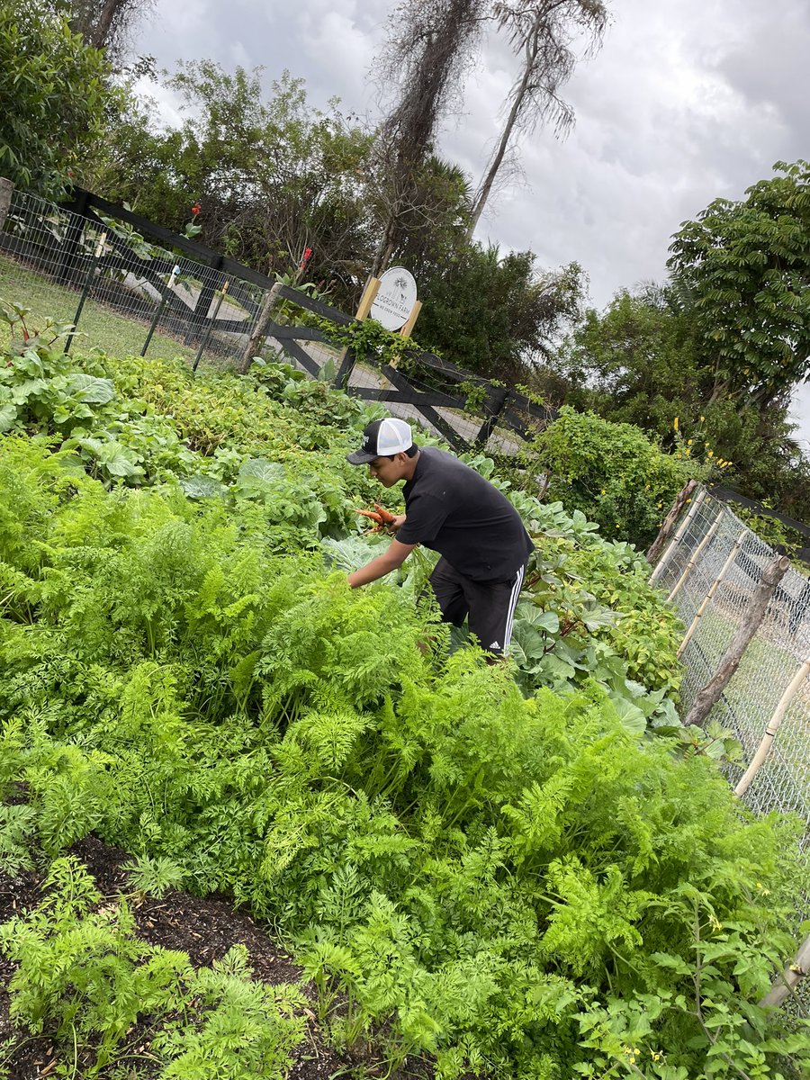 Ultimate_Garden's tweet photo. These past 10yrs of dedication to gardening have been amazing. Today starts Chapter 17! I can’t wait to see what the future has in store for me and my career. Thank you to everyone who’ve supported me since day one. Love you all and never forget to GROW BIG ULTIMATE GARDENERS!🥳 https://t.co/8ICY2f5Guo