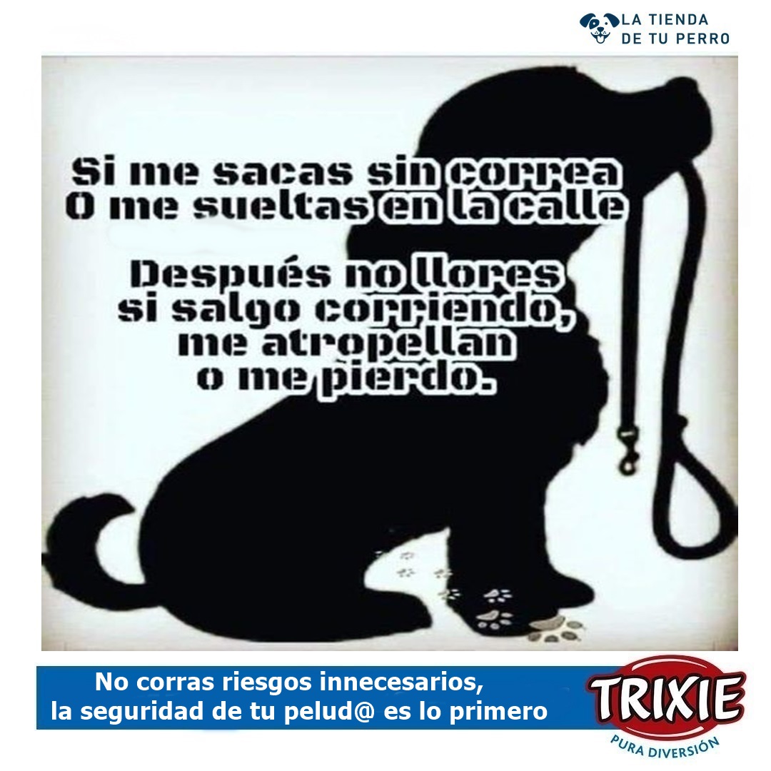 Nuestroperro's tweet photo. 🐶 ¡No le saques sin correa! 🚫🐾 Mantén a tu peludo seguro y evita riesgos innecesarios con las correas y collares Trixie. 🐾😍 

#latiendadetuperro #SeguridadCanina #TrixiePets #MascotasFelices 🐾🐾 https://t.co/ZZy2IIAkVZ