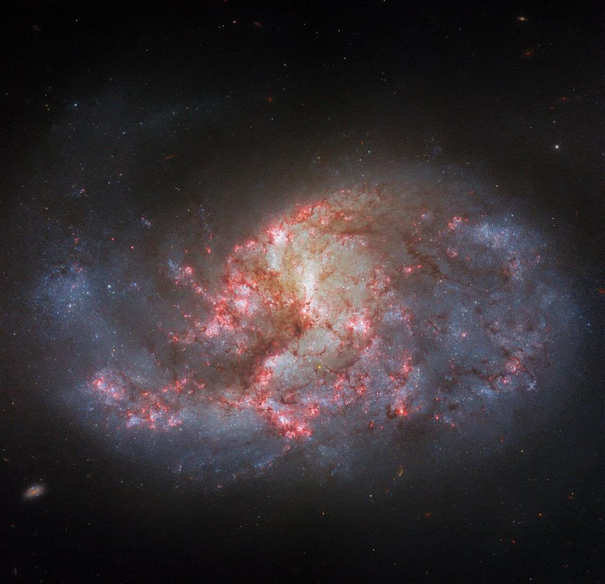 Cron_Silenzio's tweet photo. Dov'è la metà superiore di questa galassia?
In realtà non manca nessuno dei suoi bracci a spirale, sono tutti nella metà inferiore. Questa osservazione del telescopio spaziale #Hubble di #NGC1385, utilizzando più filtri rispetto a prima per fornire più dettagli in questa galassia https://t.co/Giql56WOu9
