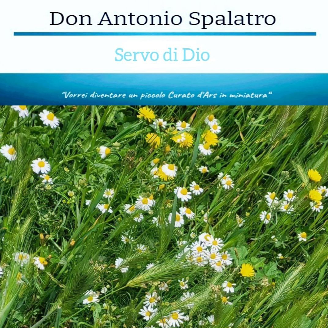 Dal diario spirituale:
~ Iddio ha voluto dare i fiori ai campi e li ha riempiti di margherite. Iddio ha voluto dare i fiori agli uomini ed ha riempito le loro case di bambini. ~

#donantoniospalatro #vieste #catholic #diocesimanfredoniaviestesangiovannirotondo #santigiovani
