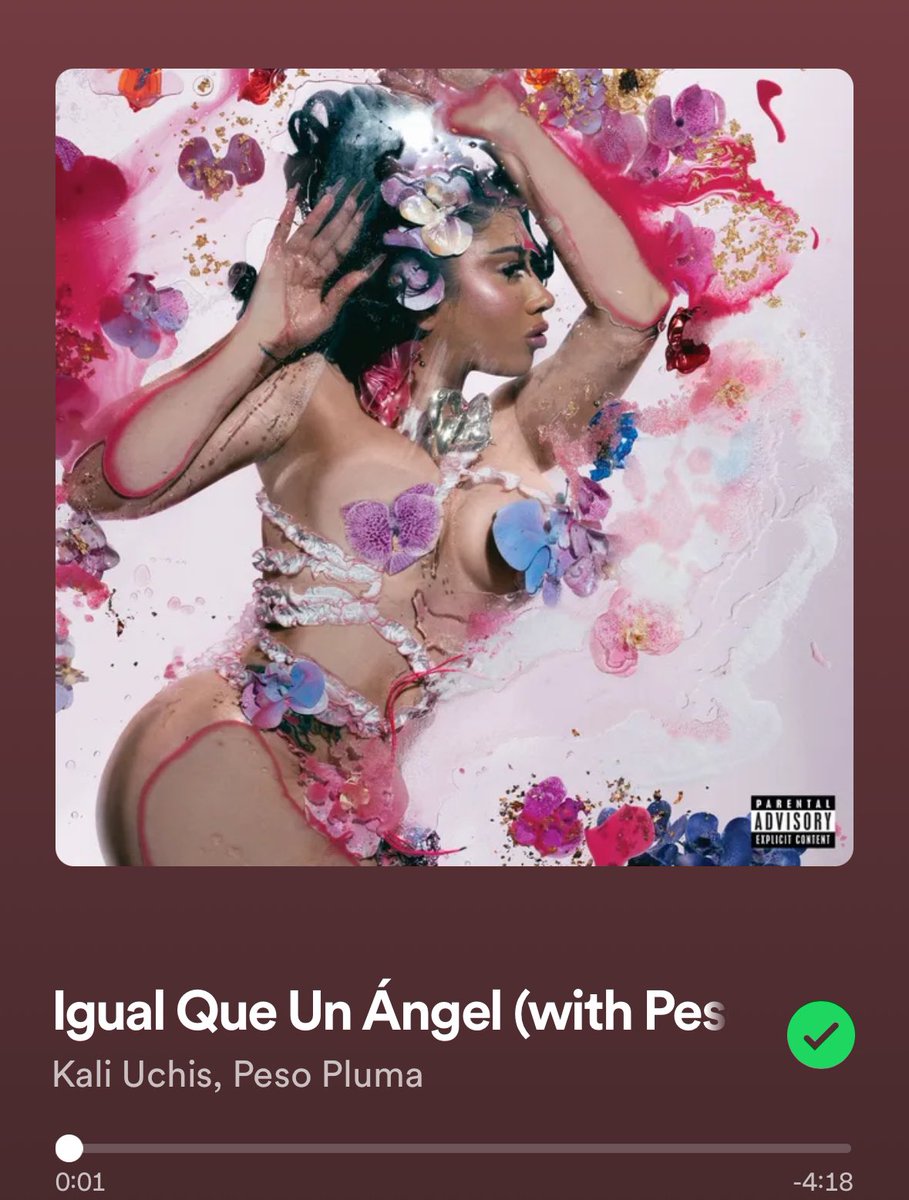 gio__palace's tweet photo. Peso Pluma And Kali Uchis song got me like https://t.co/XM9IXR43fc