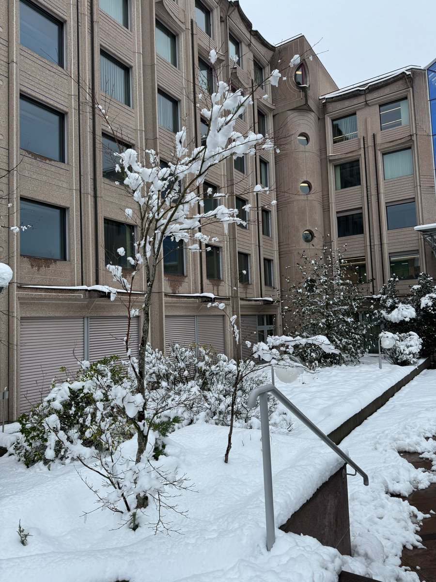 Snow is here in Geneva! GSD's energy keeps shining, thriving in this winter wonderland. ❄️ #internationalrelations #un #diplomacy #geneva #switzerland #student #master #genevaschool #studentabroad #liveabroad #school #university #travel #culture #country #snow #cold #winter