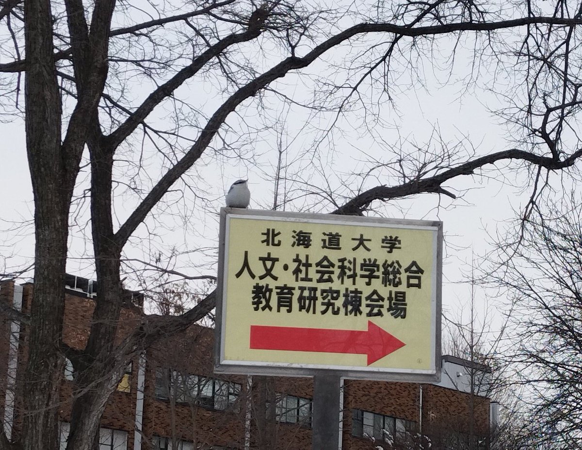 えさし tweet media