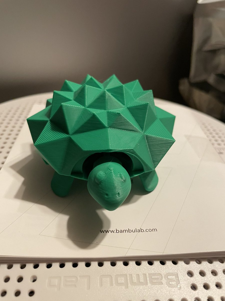 westery1's tweet photo. It’s a turtle. A squishy turtle. It bounces up and down. #turtle #testprint https://t.co/rDlqRHXrjI