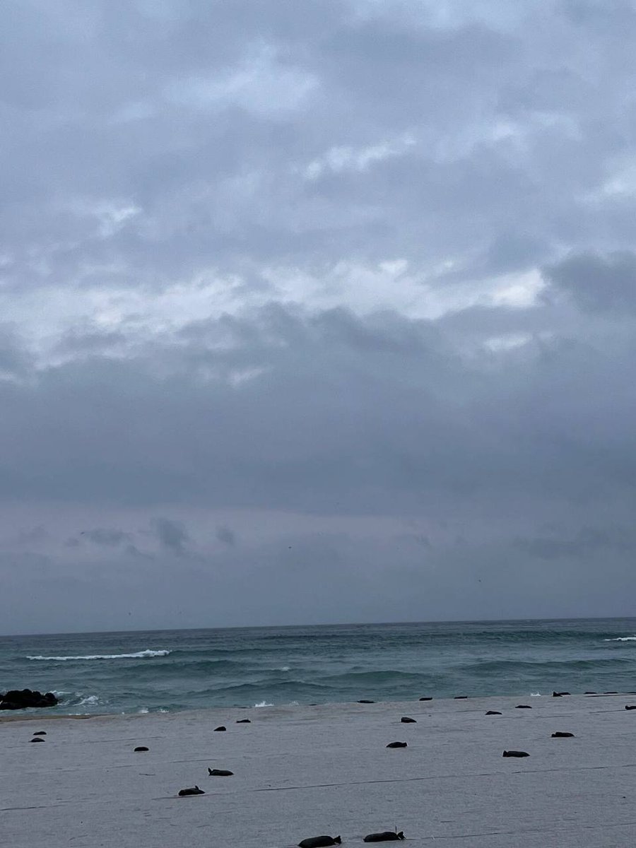 안녕하세요, 우리는 함께 좋은 친구를 가지고 있습니다, 혹시 우리도 좋은 친구가 될 수 있을까요?