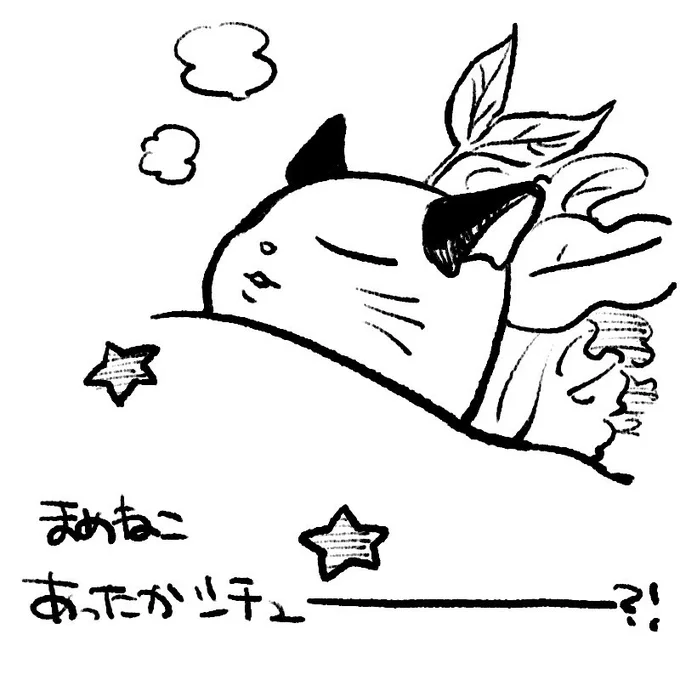 か、かわ、かわ、かわい…かわいっ!!!かわいいー!!! 