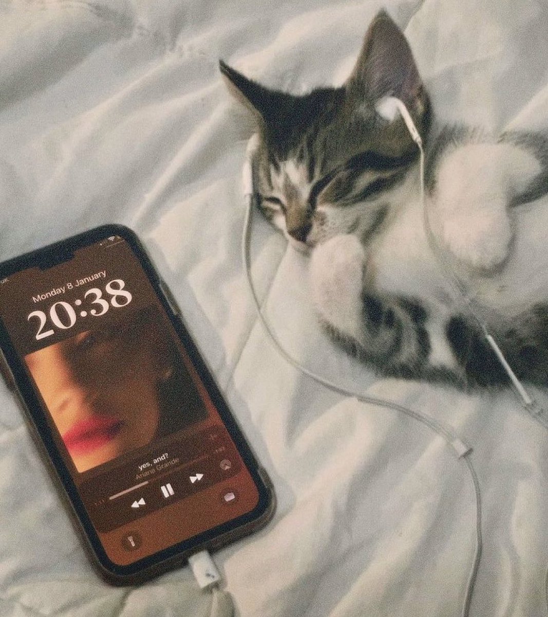 starlightarix's tweet photo. me right now #YESAND https://t.co/QrLPZVzBJ6