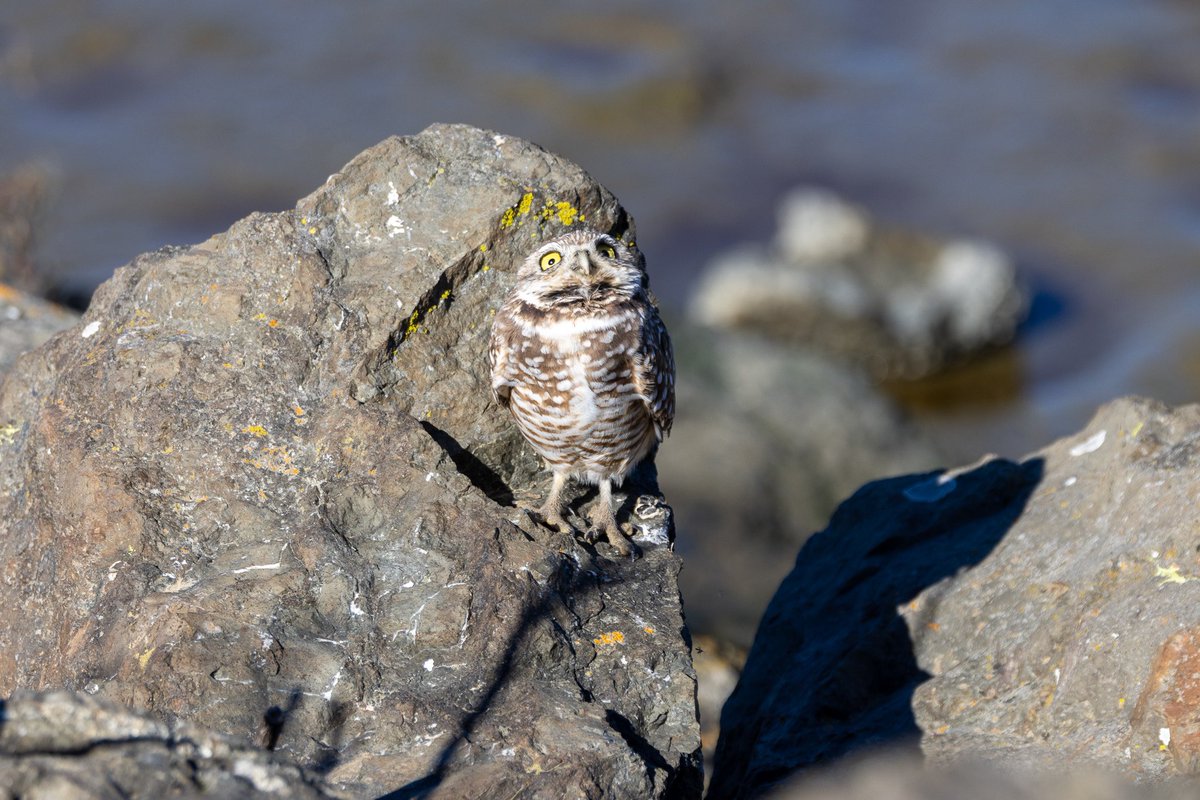 Anna Klafter tweet media