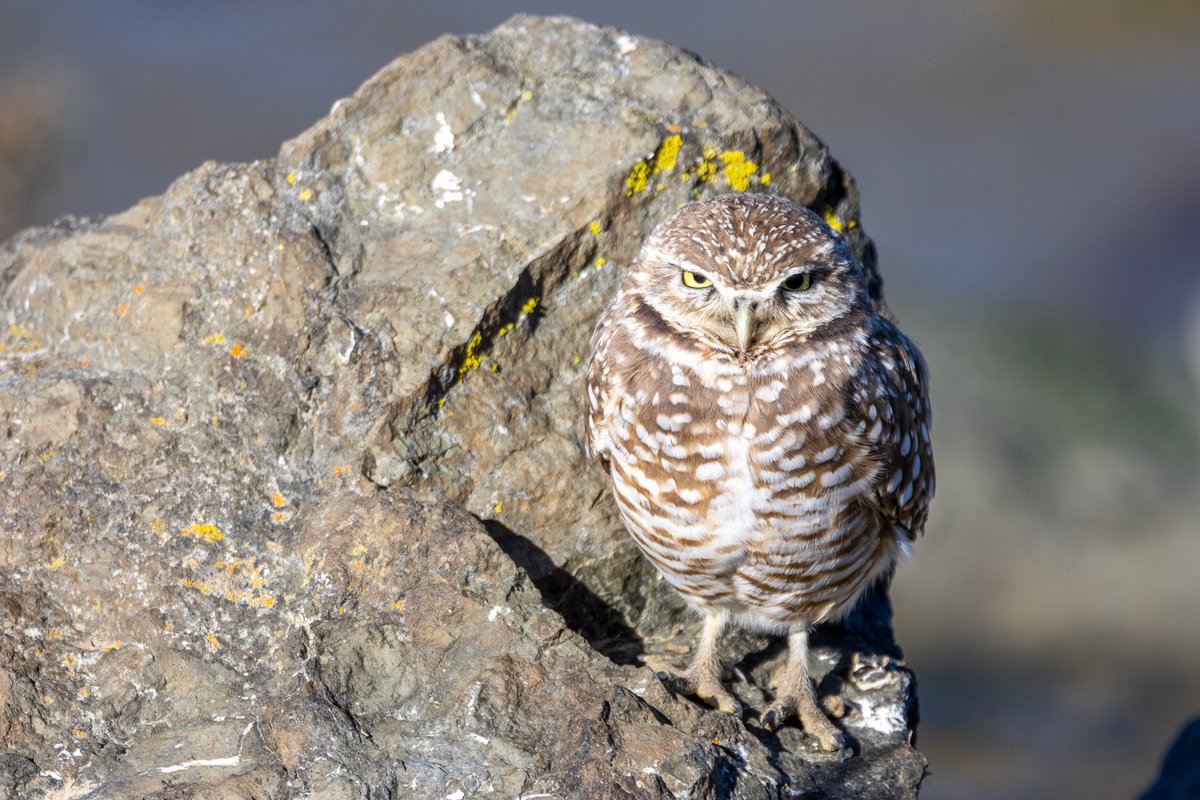 Anna Klafter tweet media