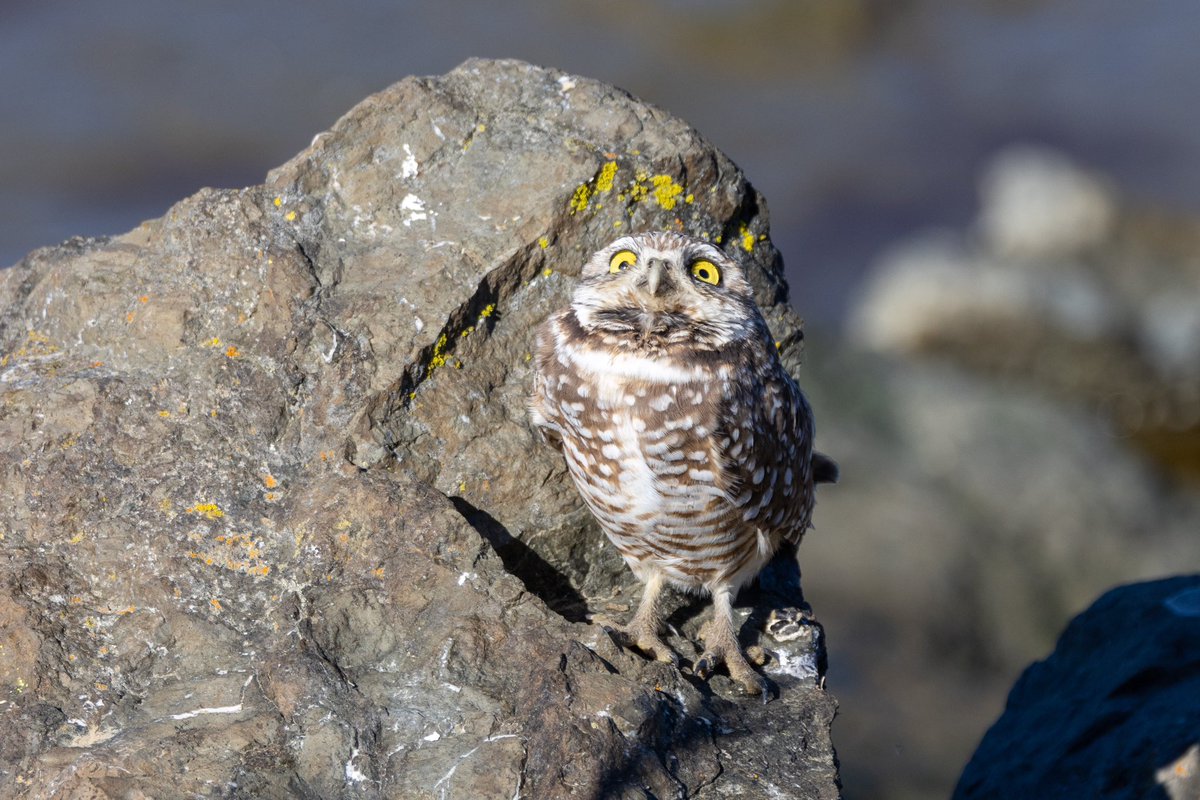 Anna Klafter tweet media