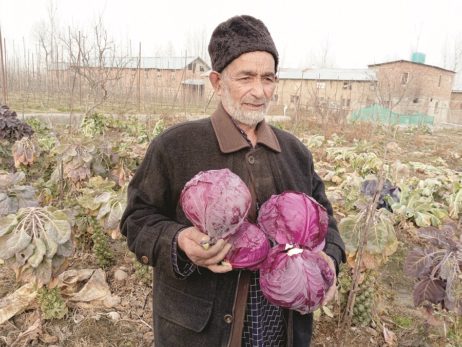 RisingKashmir's tweet image. #India's finest quality #BrusselsSprouts grow in #Pulwama's #Gudbughvillage

Reports @javidsofii 

@dcpulwama @DicPulwama
@JkAgriculture @AgricultureKmr
@OfficeOfLGJandK @diprjk
@DivComKash

risingkashmir.com/indias-finest-…