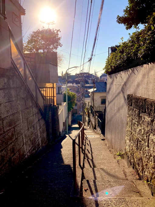 冬の散歩道 