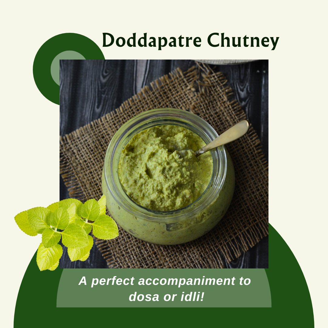 UrbanMali's tweet photo. Exploring the Magic of Doddapatre Cuisine! ✨🌱

Doddapatre, also known as Indian Borage, has been thriving in my garden lately, and I can't help but share the delicious treasures it brings to my kitchen!  

#DoddapatreCuisine#Indianborage#UrbanMali #UrbanGardening https://t.co/3thgO4vpgb